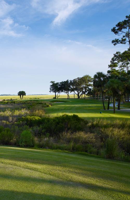 Palmetto Course